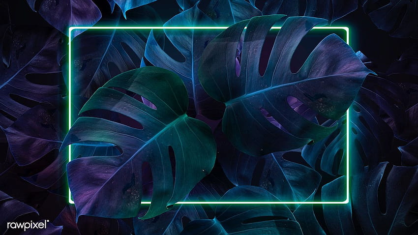 ilustrasi premium bingkai lampu neon hijau di tropis Wallpaper HD
