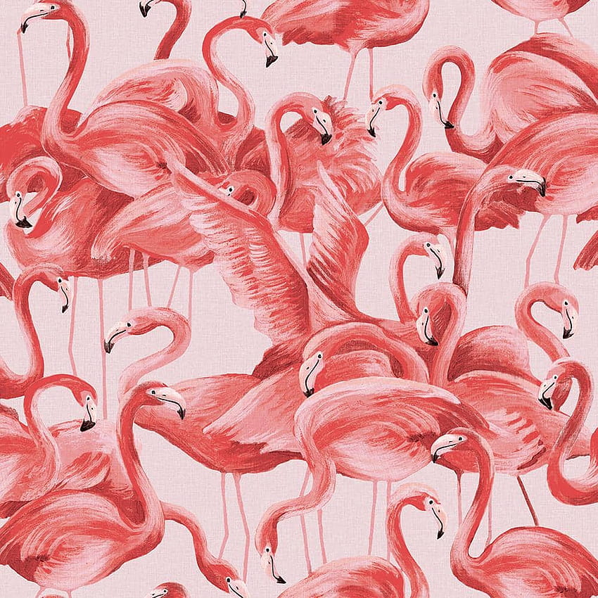 Tempaper Flamingo Cheeky Pink Peel and Stick, pink flamingo HD phone wallpaper