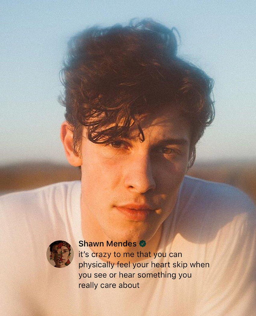 shawnmendes hashtag on Twitter, shawn mendes aesthetic HD phone wallpaper