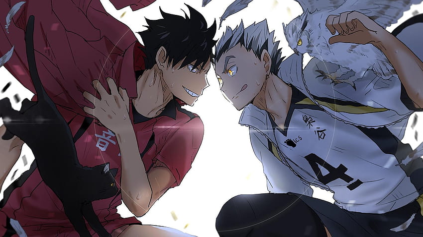 Download Opening dan Ending Haikyuu Season 3 – Fukishiro Mysite