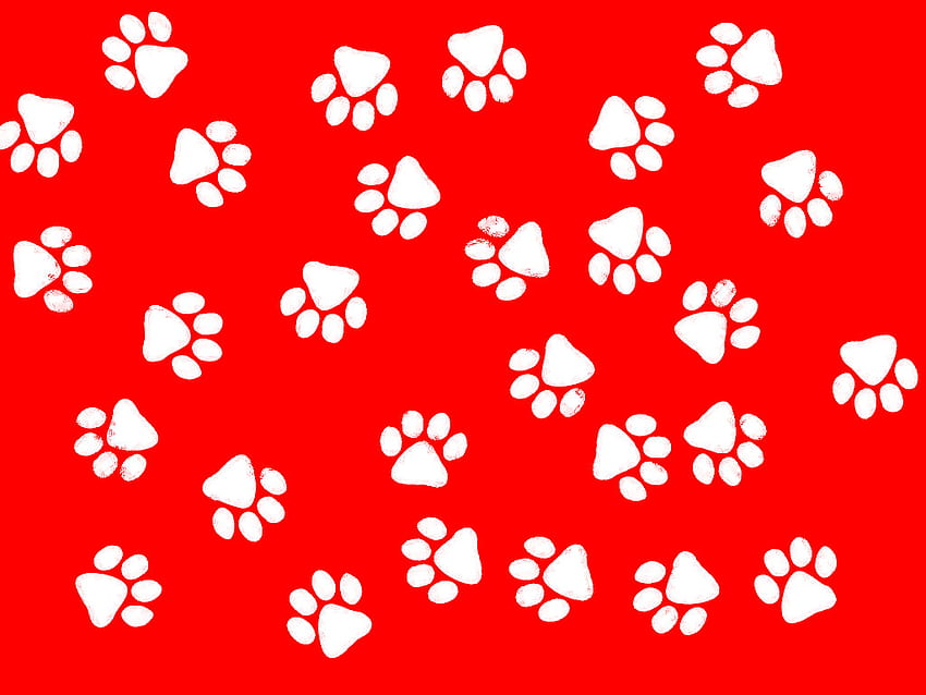 Cat Paw Print Paw print Galleries Related Cat [1024x768] for your , Mobile & Tablet, pawprint HD wallpaper
