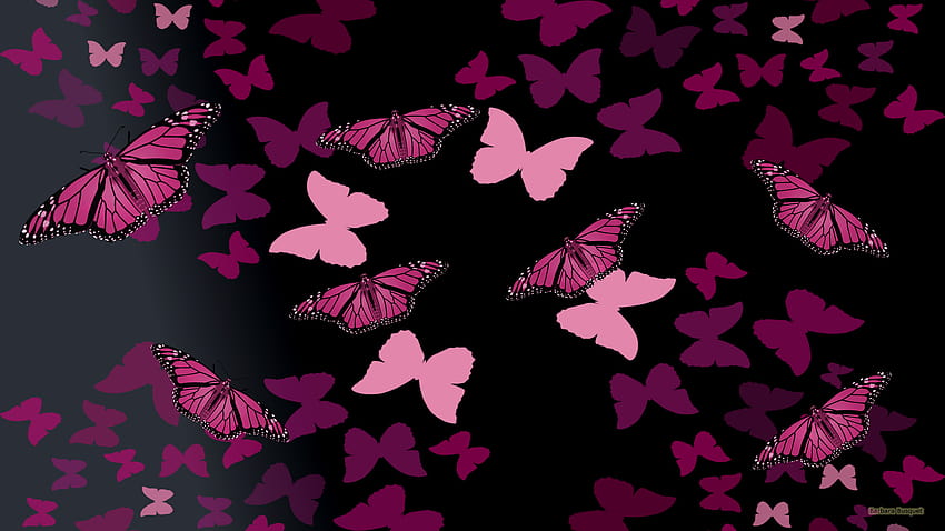 Black with pink butterflies, butterfly pattern HD wallpaper
