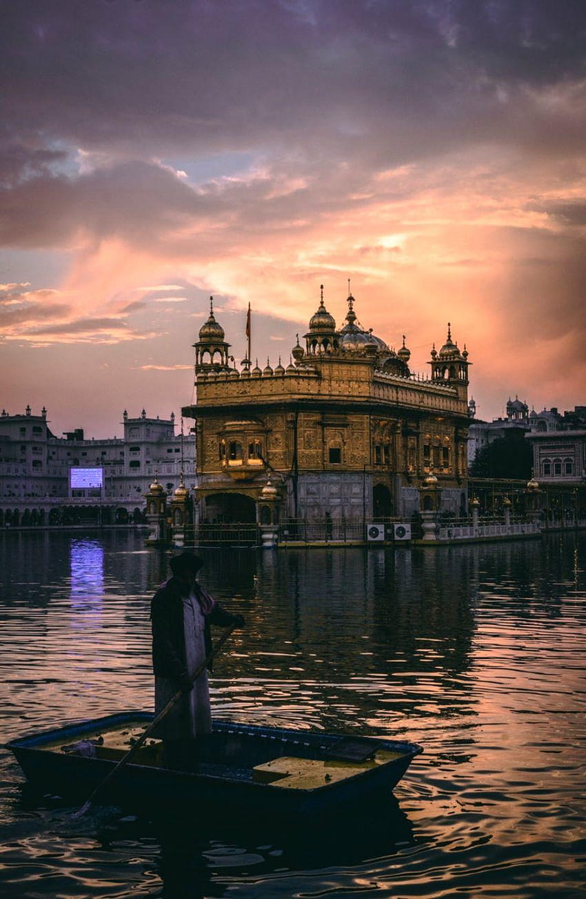 Altın Tapınak Yolu Amritsar Hindistan, altın tapınak iphone HD telefon duvar kağıdı