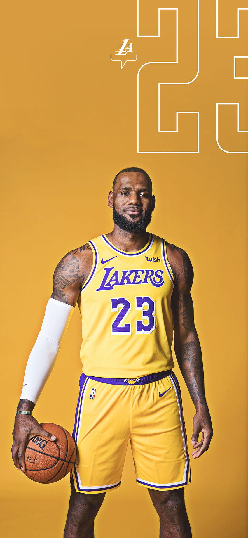 Lakers and Infographics, lebron and wade HD phone wallpaper