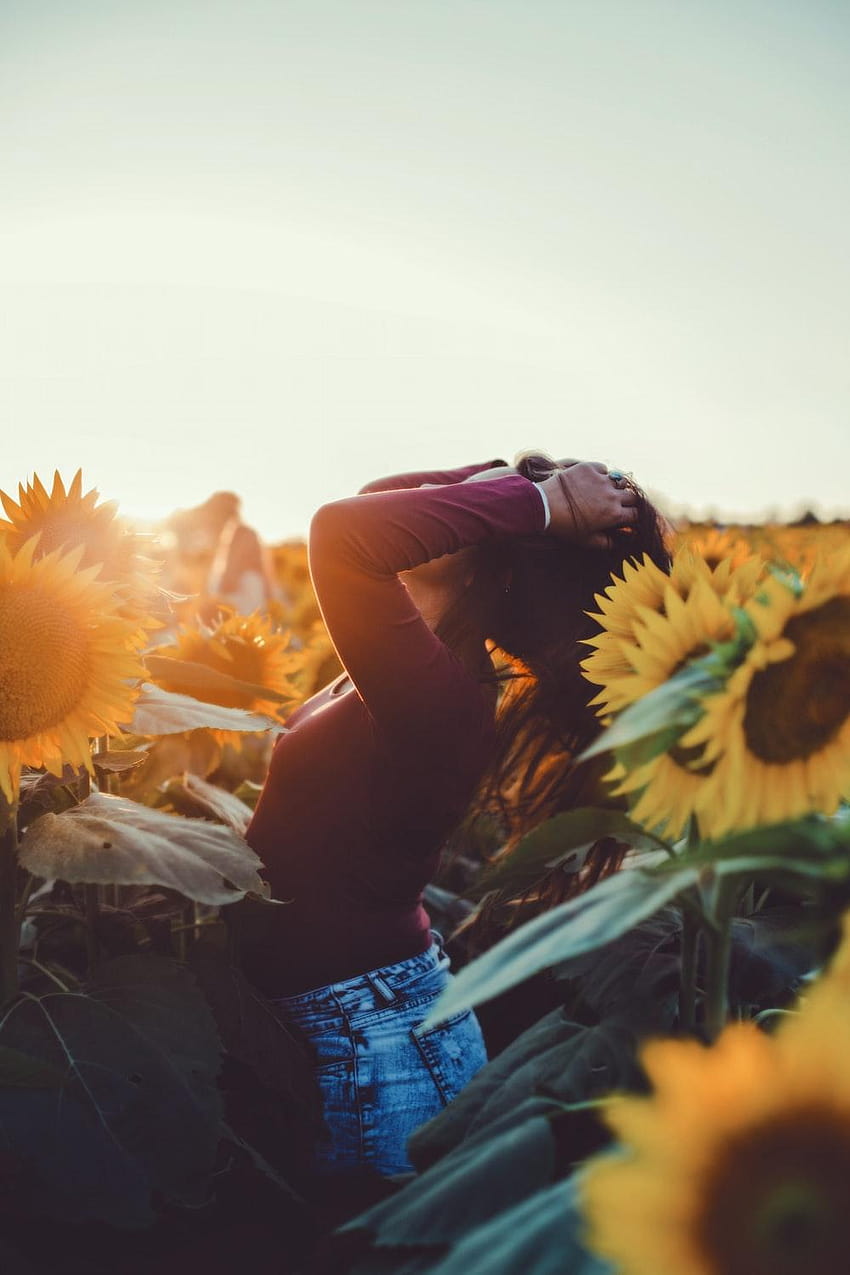wanita berdiri dikelilingi oleh bunga matahari – Wanita di atas, gadis bunga matahari wallpaper ponsel HD