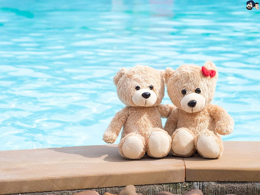 Teddy Bears, baby bear HD wallpaper | Pxfuel