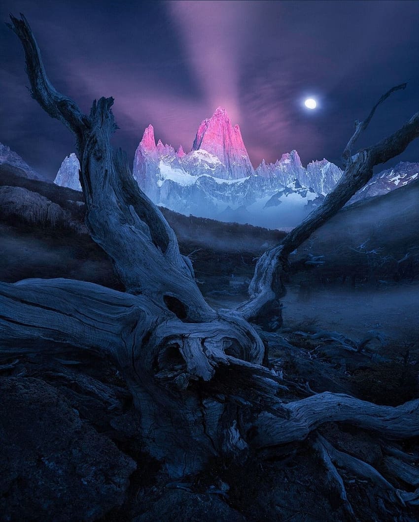 night, mountain, withered tree trunk, moon HD phone wallpaper