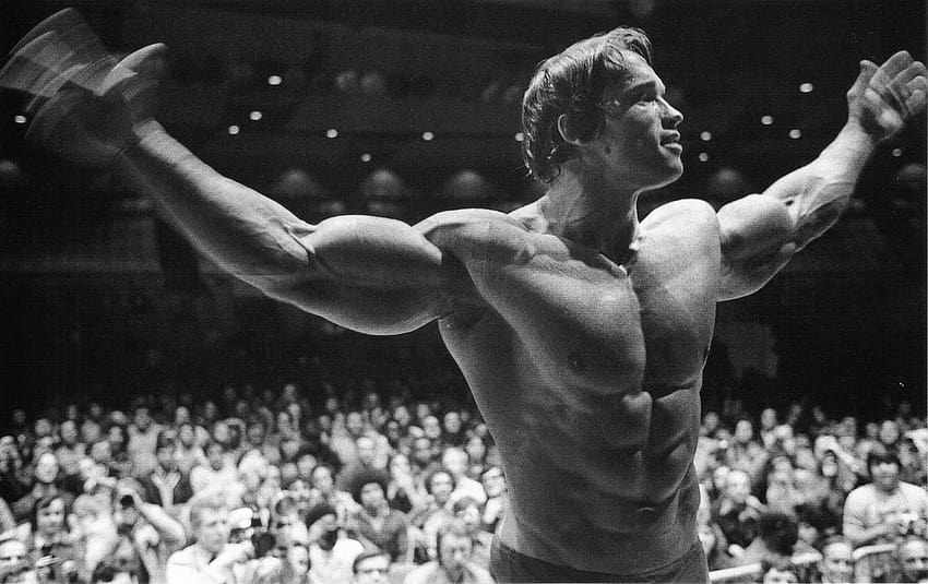 6 Arnold Schwarzenegger HD duvar kağıdı