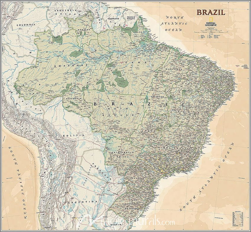 Executive Brazil Map Mural oleh Magic Murals, peta Wallpaper HD