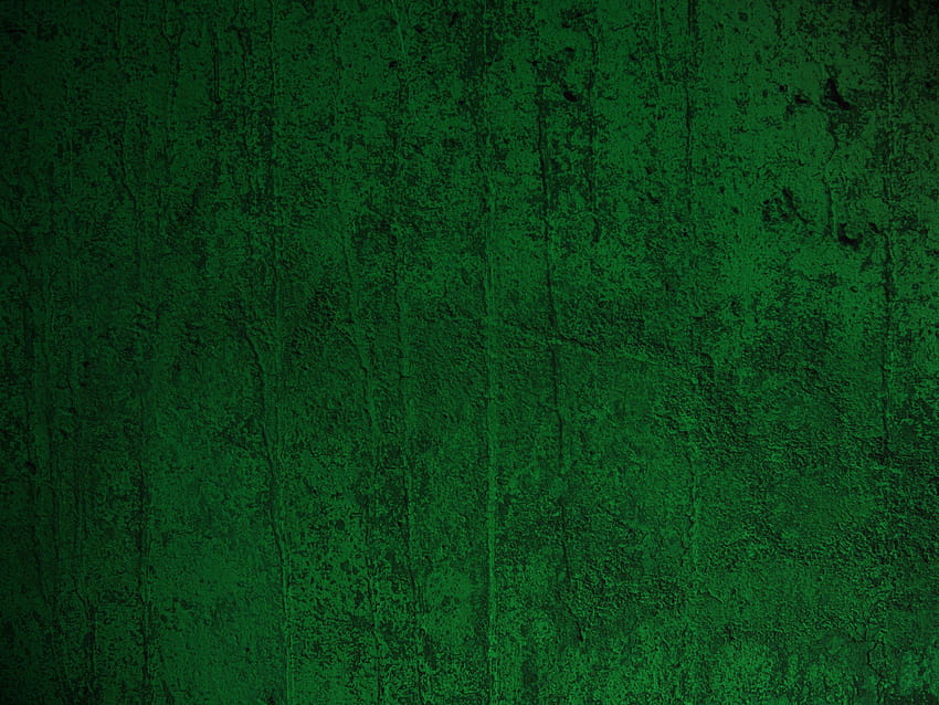 Olive Greenaesthetic, green aesthetic computer HD wallpaper