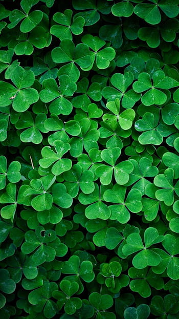 Luck Photos Download The BEST Free Luck Stock Photos  HD Images