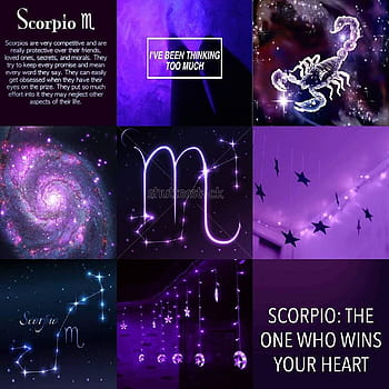 Buy Scorpio Zodiac Sign Aesthetic Collage Wallpaper Aesthetic Online in  India  Etsy