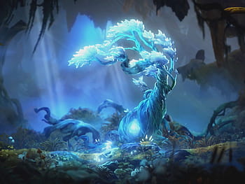 Wallpaper Ori And The Will Of The Wisps, Pc Games, 8k, 4k - Wallpaperforu