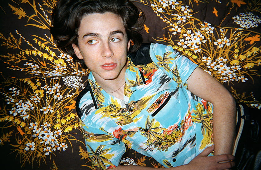 Timothée Chalamet Has Arrived Right on Time, computer timothee chalamet HD wallpaper