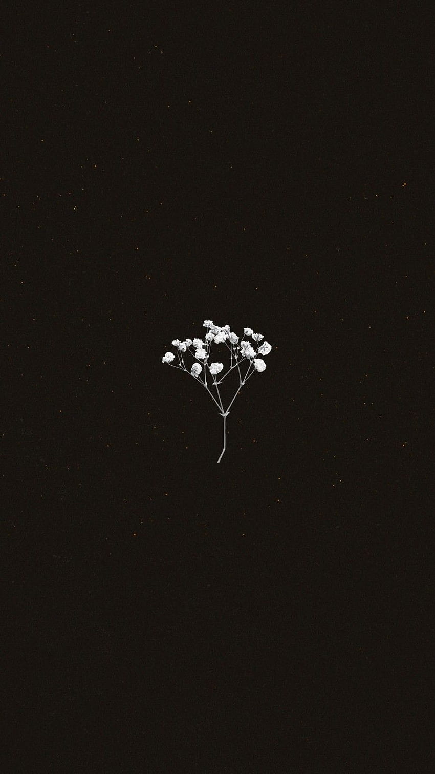꽃 귀하의 , 모바일 및 태블릿을 위한 귀여운 단순 미니멀리스트 [900x1600], 검은 미적 꽃 HD 전화 배경 화면