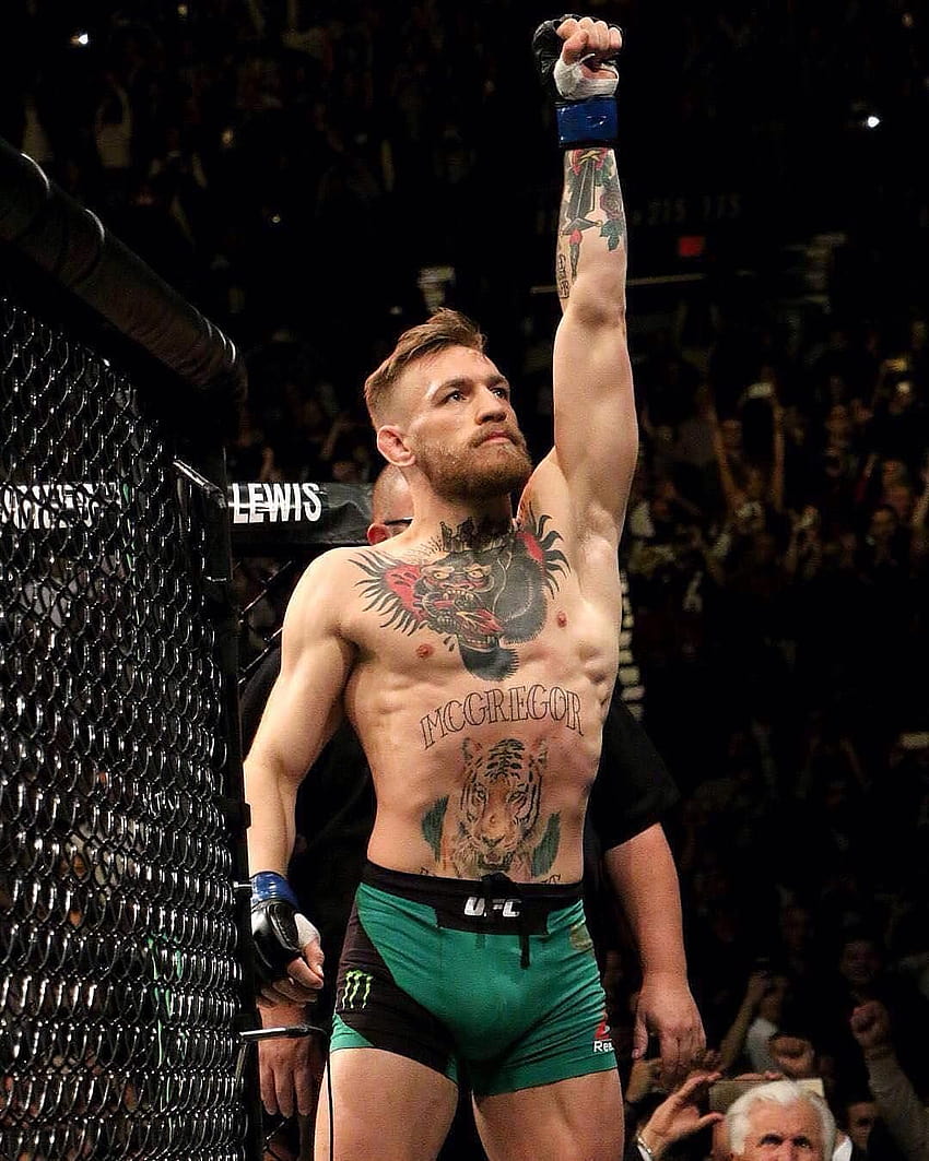 Conor McGregor 2019 UFC, & Hintergründe, UFC 246 HD-Handy-Hintergrundbild
