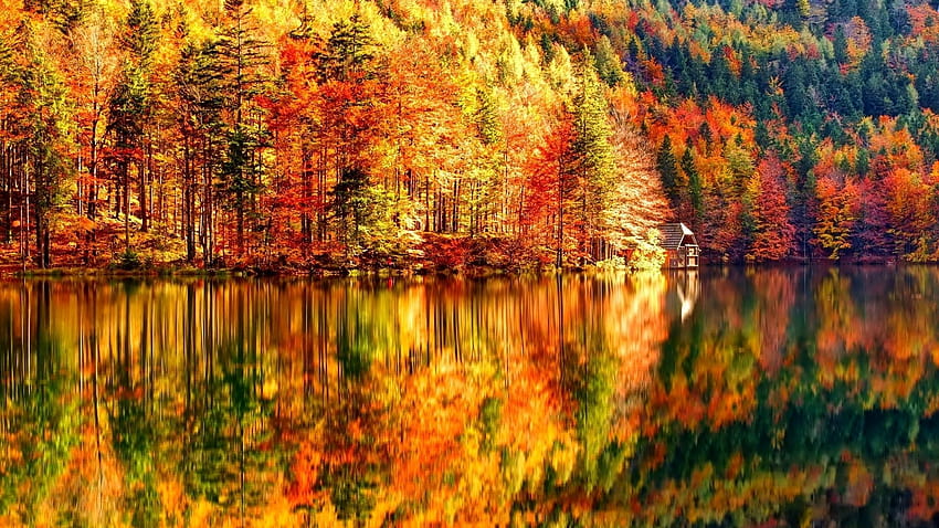 Beautiful Autumn Landscape, lake in autumn HD wallpaper | Pxfuel