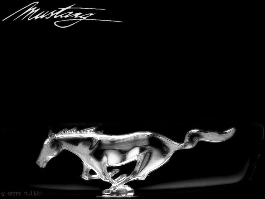 🔥 Download Ford Mustang Logo Wallpaper by @bruceg74 | Ford Mustang Logo  Wallpaper, Ford Mustang Backgrounds, Mustang Logo Wallpaper, Ford Mustang  Wallpaper
