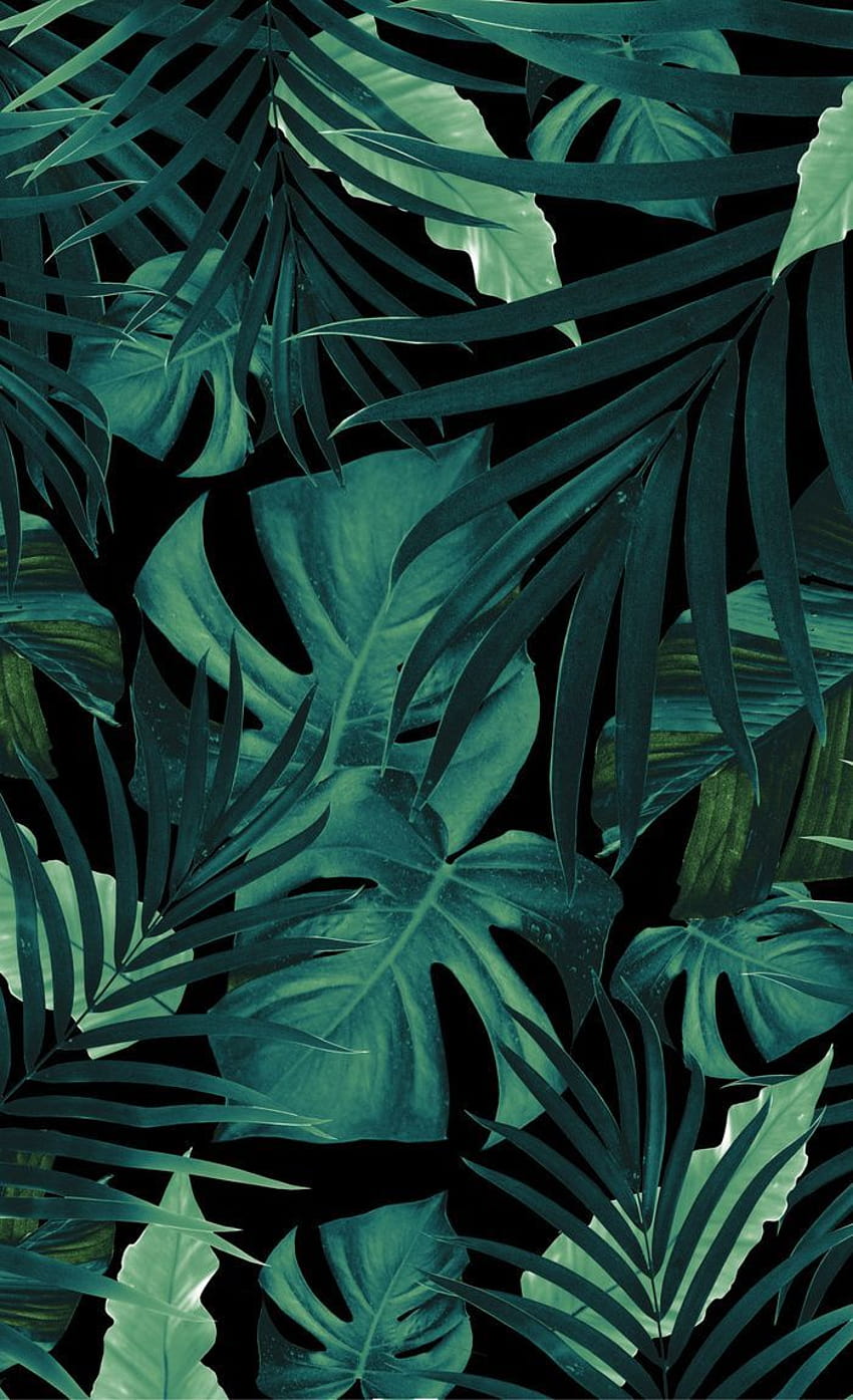 열대 정글 밤 잎 패턴 ...pinterest, tropical aesthetic HD 전화 배경 화면