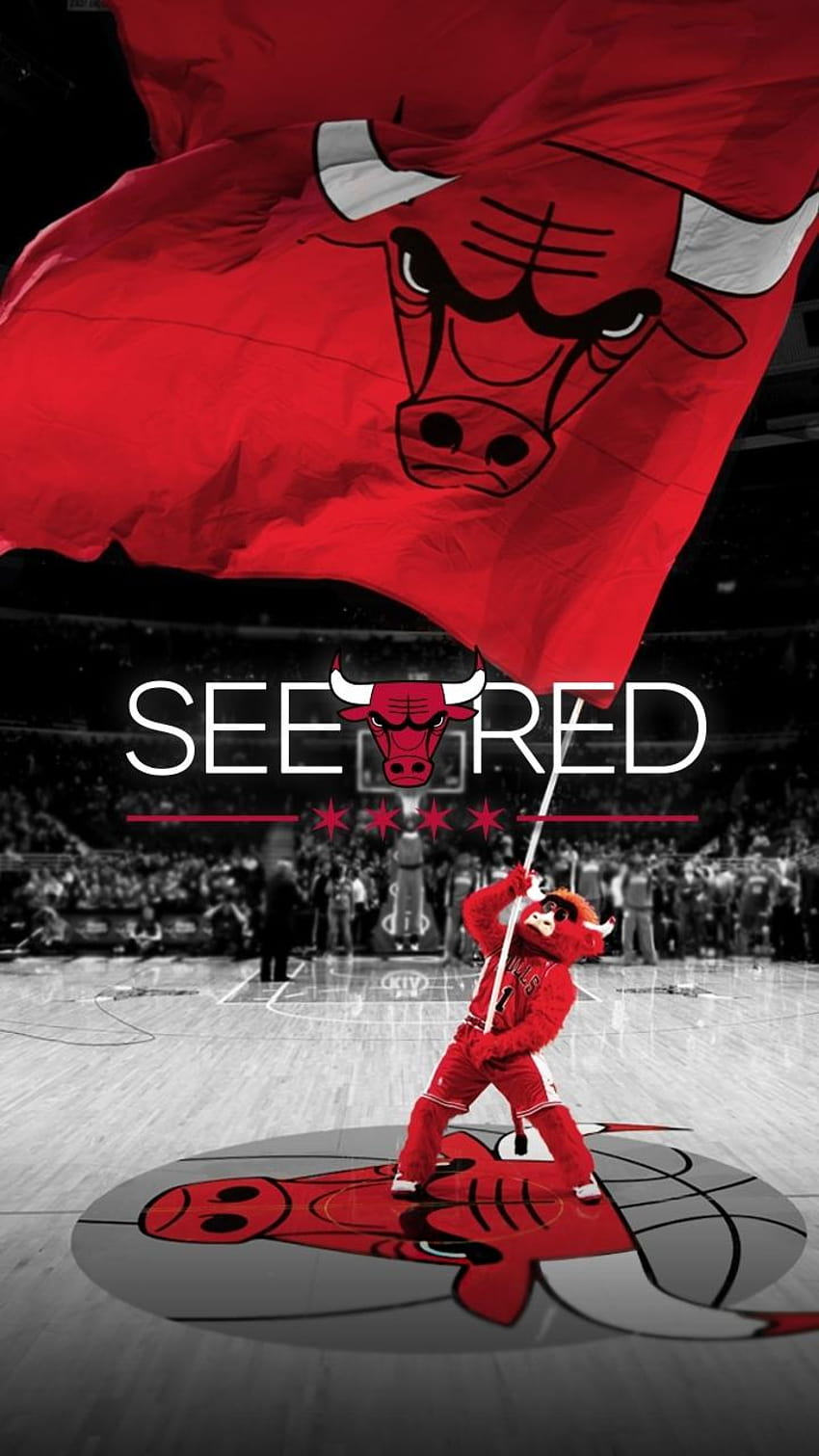 Latest Chicago Bulls For Android Full, chicago bulls red iphone HD phone wallpaper