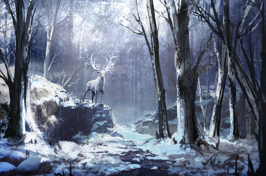 2560x1700 Winter Forest Reindeer Chromebook Pixel, фонове и зимен chromebook HD тапет