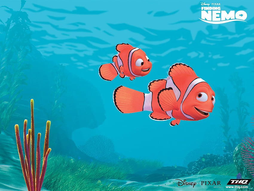 » Cartoni animati » Nemo il pesce, alla ricerca di nemo Sfondo HD