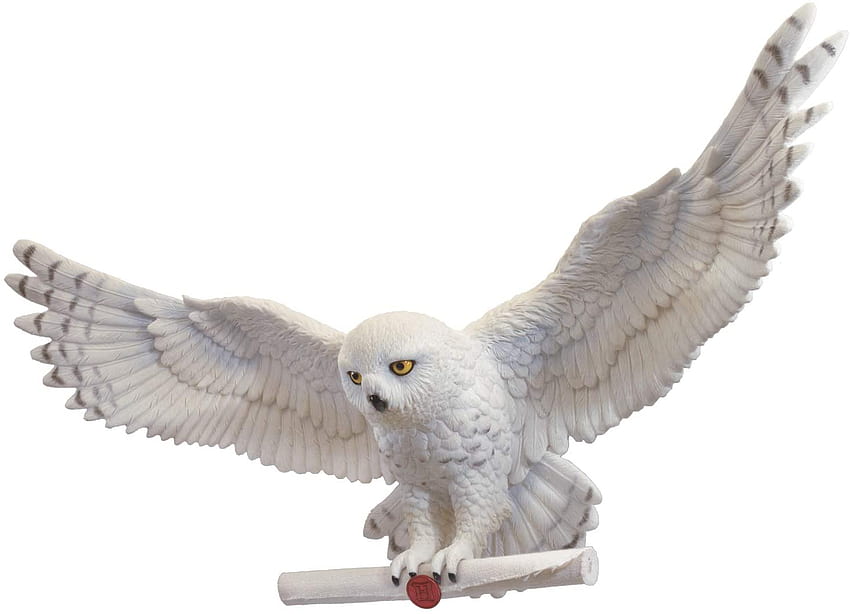 Dekoracja ścienna Noble Harry Potter Hedwig Owl Post, oficjalnie autoryzowana przez Warner Brothers. Odwiedź The Noble Store Tapeta HD