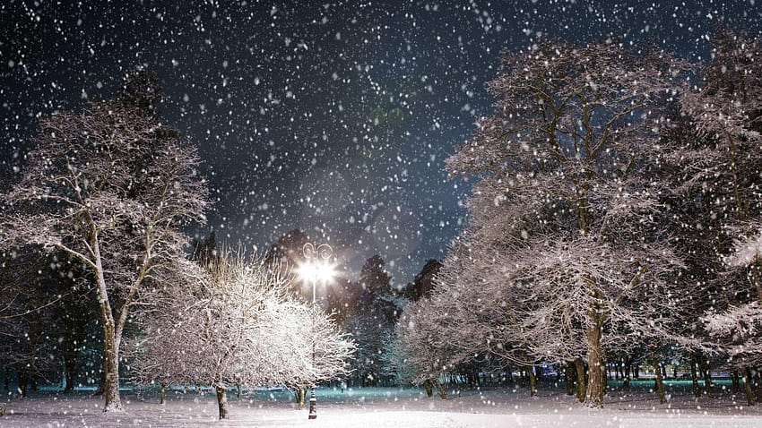 Winter Time Scenes, snowfall fx HD wallpaper