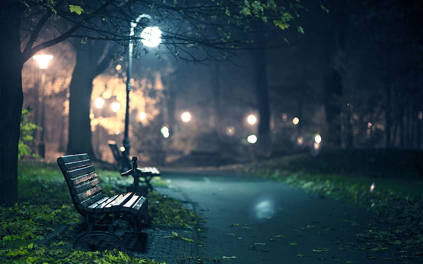 Romantic park bench evening, evening in the park HD wallpaper