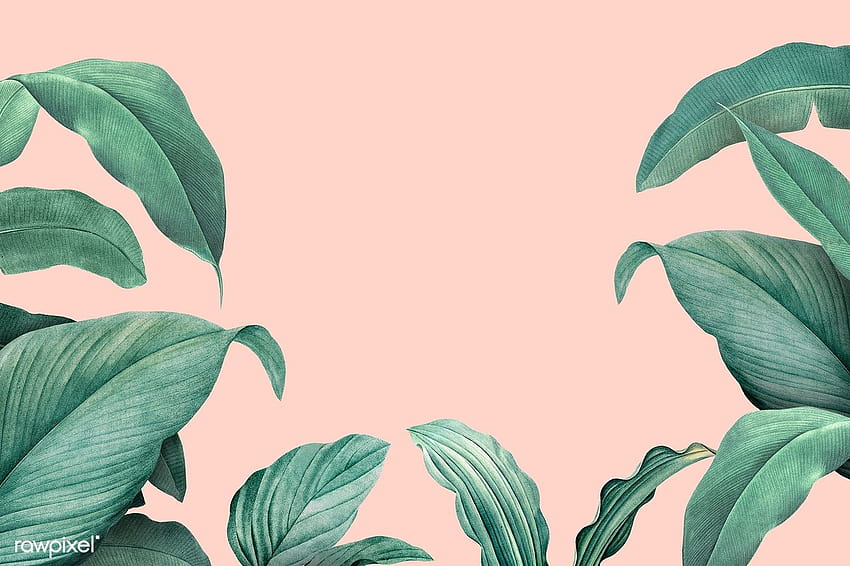 パステル ピンクの背景、美しい植物に手描きの熱帯の葉 高画質の壁紙
