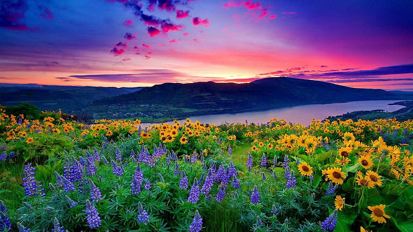 Nature Landscape Fiori gialli e blu Mountain Lake Hills Rosso, paesaggio con lago di montagna e fiori Sfondo HD