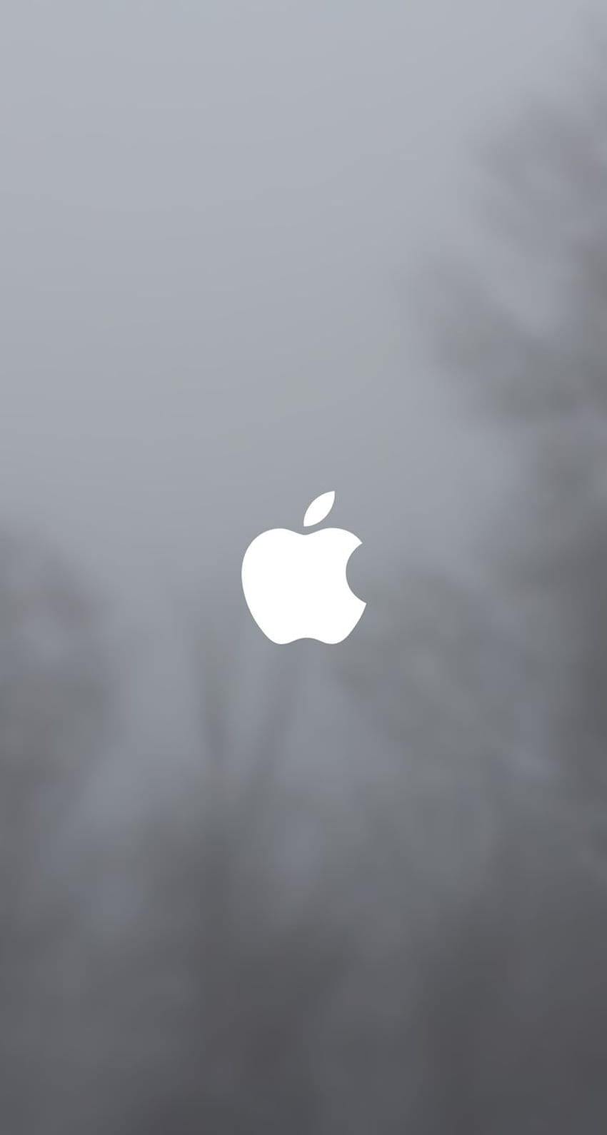 IPhone 5 Blurry, white blur HD phone wallpaper | Pxfuel