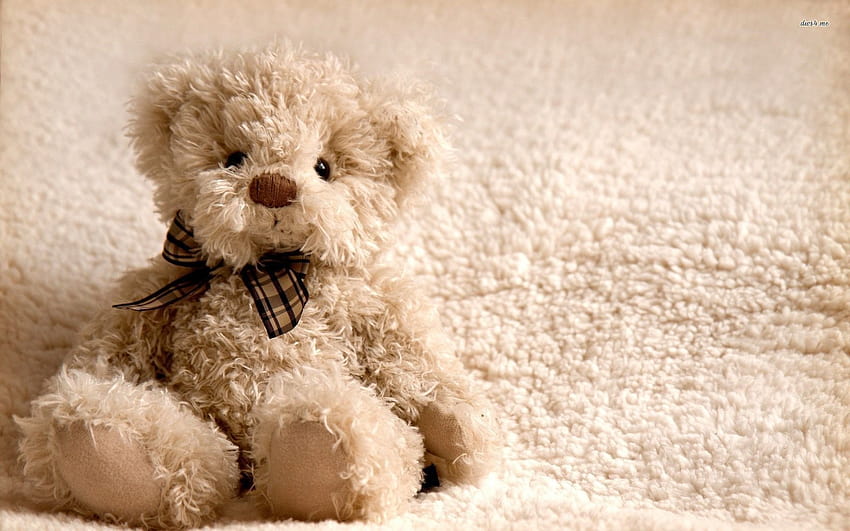 Cute Teddy Bear, baby bear HD wallpaper