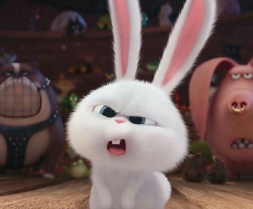 Divya yadav กับ Bunny กระต่ายก้อนหิมะ วอลล์เปเปอร์ HD