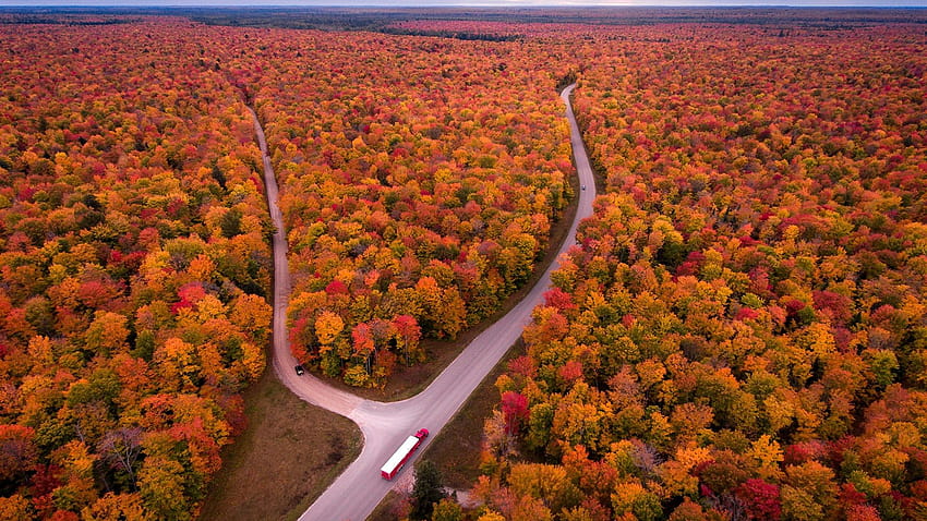 USA, Michigan, autumn, trees, road, truck, top view 1920x1440 , autumn truck HD wallpaper