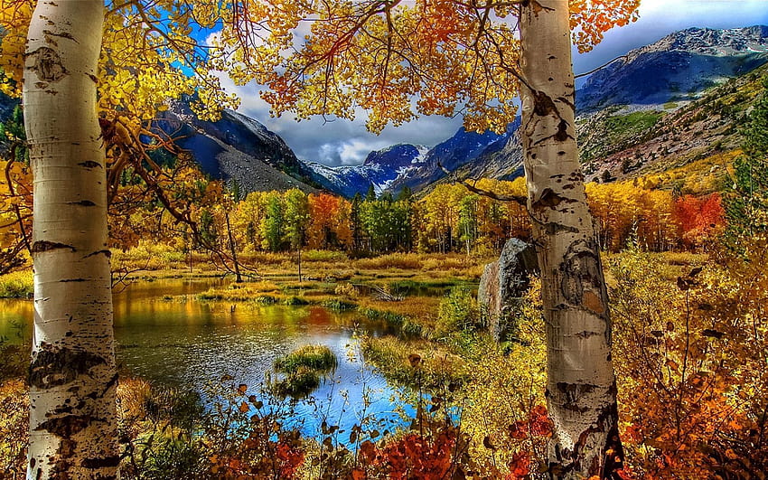 Autumn Live untuk Android, kekaguman musim gugur Wallpaper HD