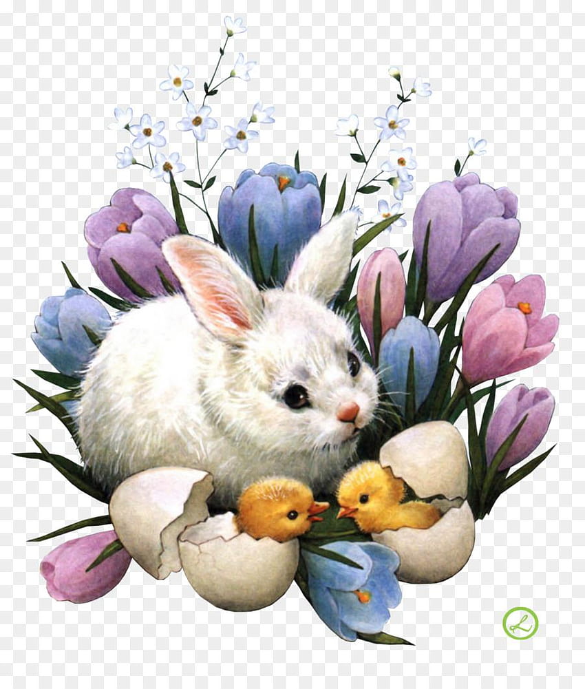 Easter Bunny Easter egg Egg hunt, easter bunny and egg HD phone wallpaper