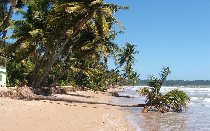 Mayaro Beach, Trinidad & Tobago 1920x Beach Travel, trinidad and tobago ...