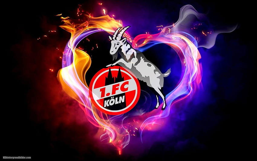 Logo 1. FC Köln hintergrunde, 1 fc koln Tapeta HD