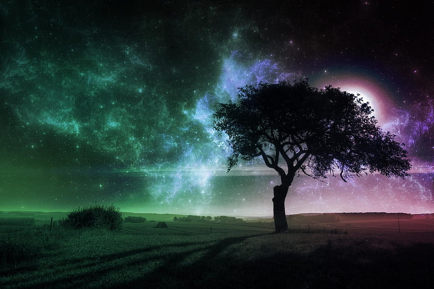 Eine verträumte Welt, verträumter Baum HD-Hintergrundbild