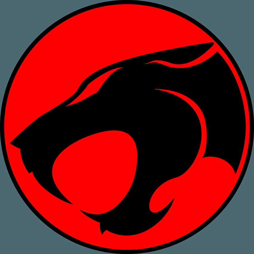 Logo dei Thundercats, logo del tuono Sfondo HD
