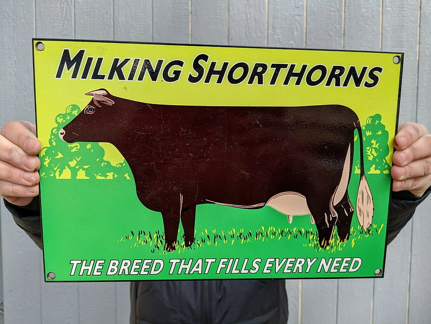 OLD VINTAGE MILKING SHORTHORN COW CATTLE HEAVY METAL PORCELAIN SIGN FARM FARMING for Sale HD wallpaper