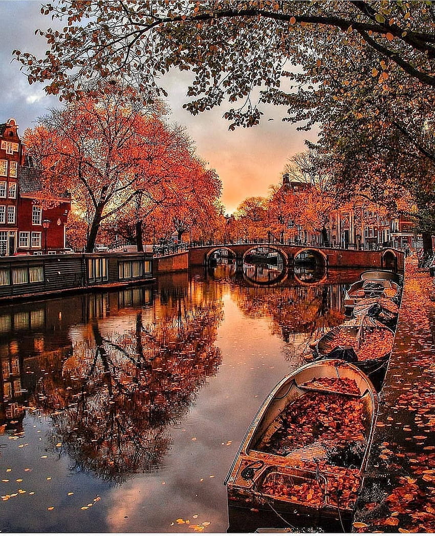 초밥 ?? 트위터, 암스테르담의 가을 HD 전화 배경 화면