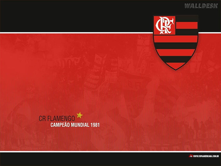 Papel de parede Flamengo fotos grátis 高画質の壁紙