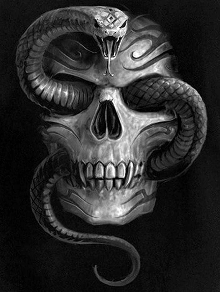 Serpiente by calavera, skull and snake HD phone wallpaper