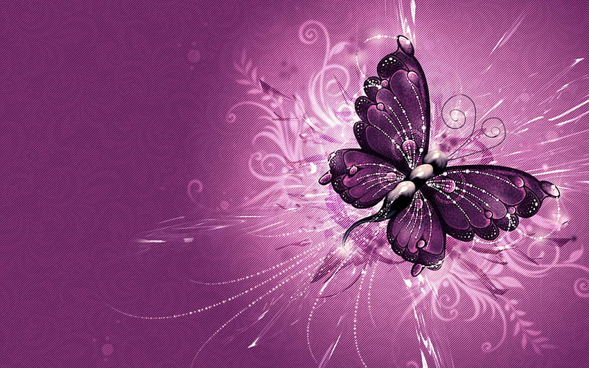 Butterfly Gallery HD wallpaper