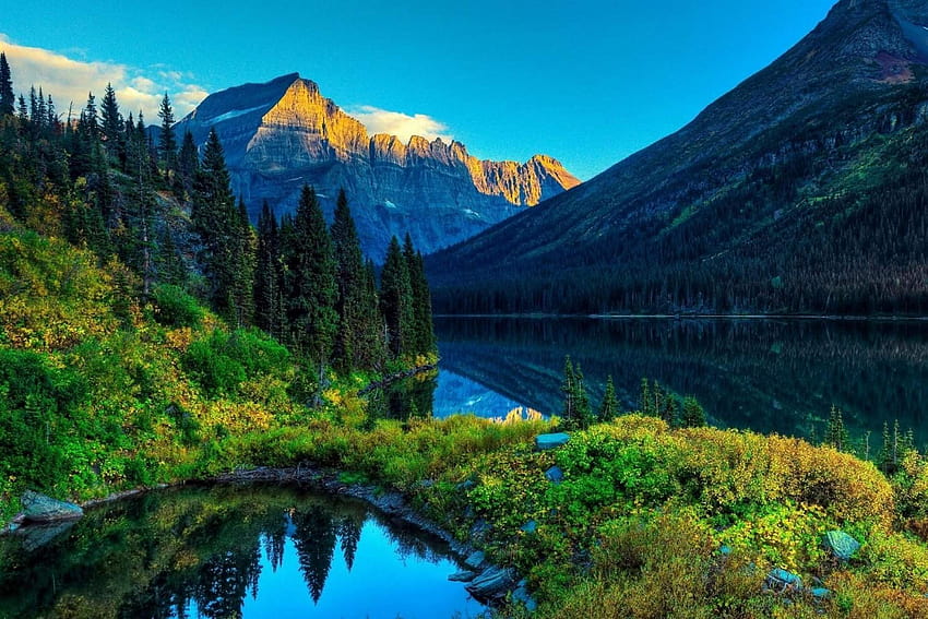 Tanaman Hijau Indah Pemandangan Alam Nyata, pemandangan alam yang indah Wallpaper HD