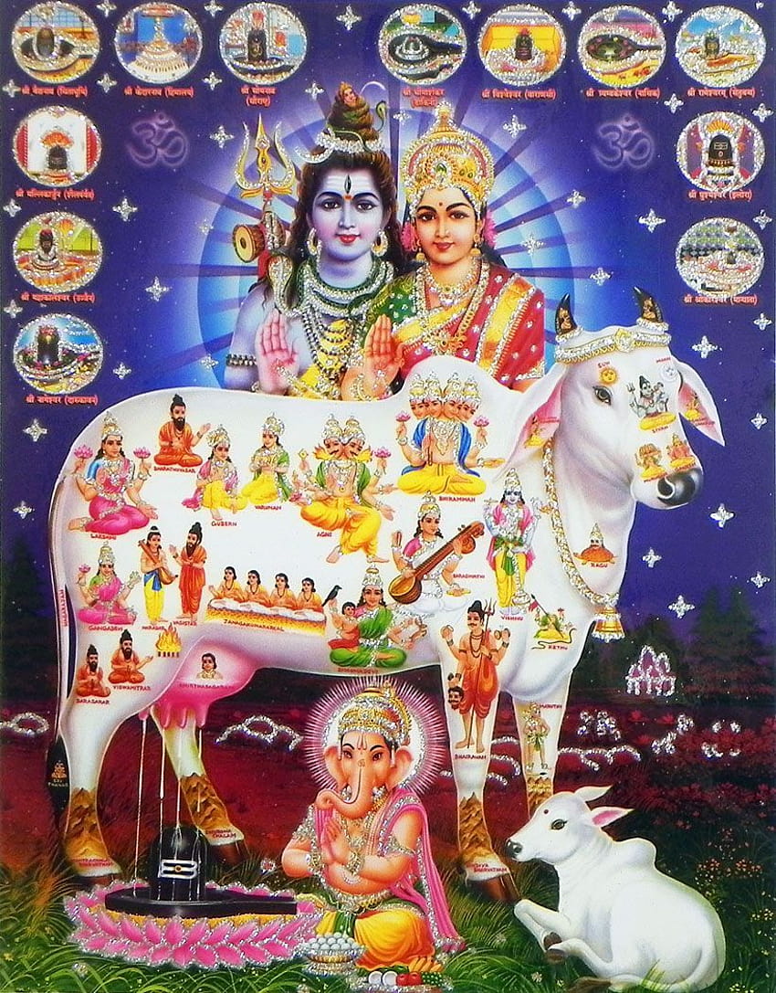 Kamdhenu, Shiva Parvati con Ganesha e Dodici Jytirlingas, kamadhenu Sfondo del telefono HD