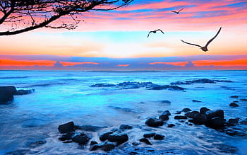 Free download free 3d sunrise wallpapers free 3d sunrise wallpapers free 3d  sunrise 1200x799 for your Desktop Mobile  Tablet  Explore 47 Free Sunrise  Wallpaper  Sunrise Background Images Sunrise Beach