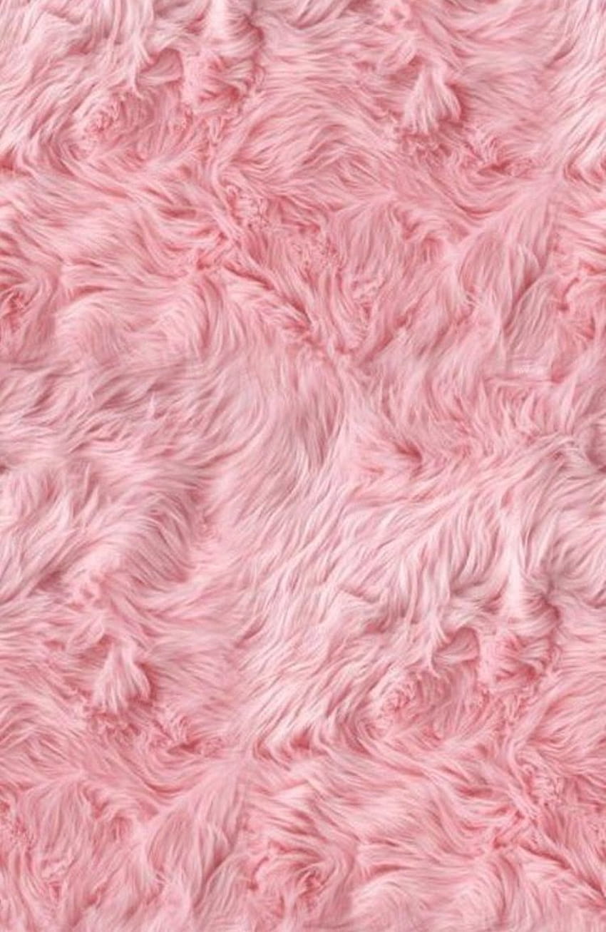 lacheya on All pink everything, pink fur HD phone wallpaper